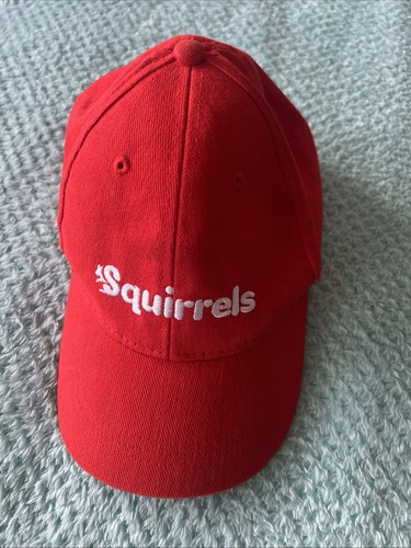 Squirrels red cap - squirrels,