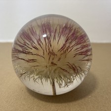 Vintage Hafod Grange Dandelion