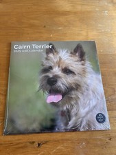 Cairn Terrier Calendar 2025 - Square Wall Calendar