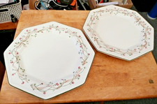 Eternal Beau Dinner Plates x2