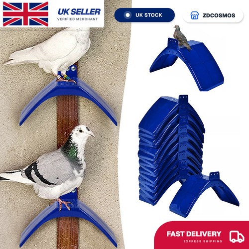 Dove pigeon rest stand - pigeon,