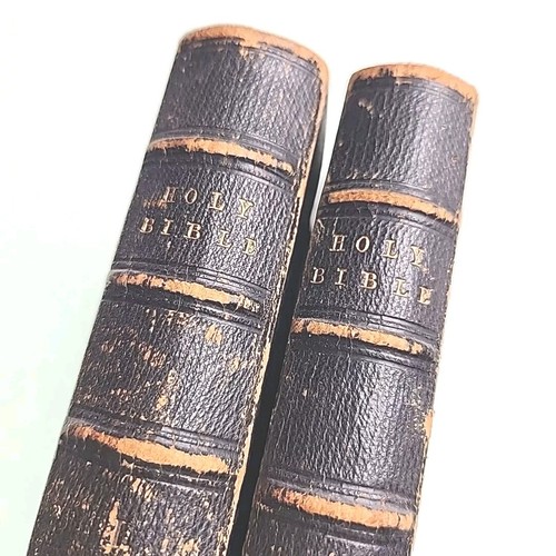 Holy bible old new - bible,