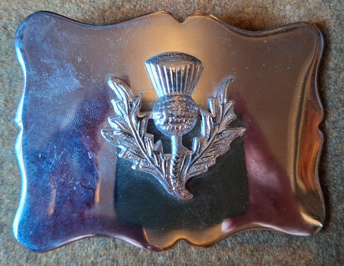 Thistle scalloped belt - belt, buckle