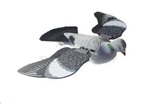 Floating Pigeon Decoy w/