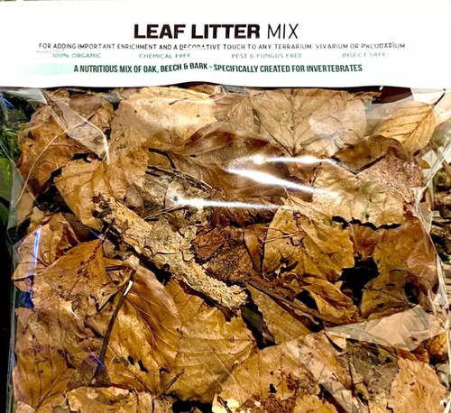 Rainforest leaf litter mix - litter,