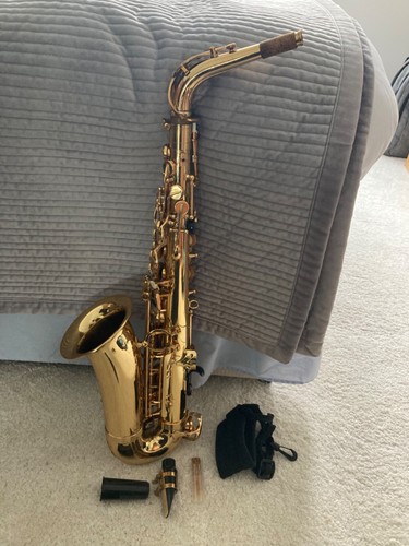 Alto saxophone trevor james - j,
