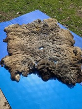 Raw Unwashed Rare Sheep Fleece