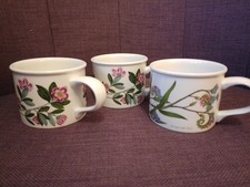 Portmeirion Botanic Garden 3 x