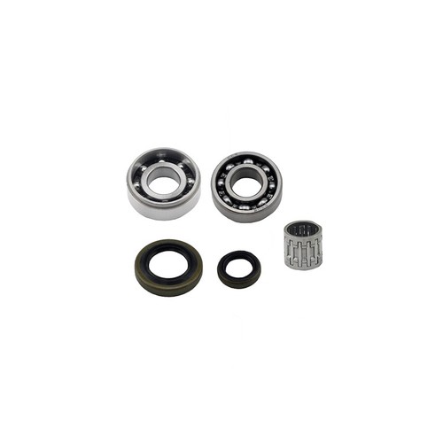 Oil seal piston needle cage - oil,