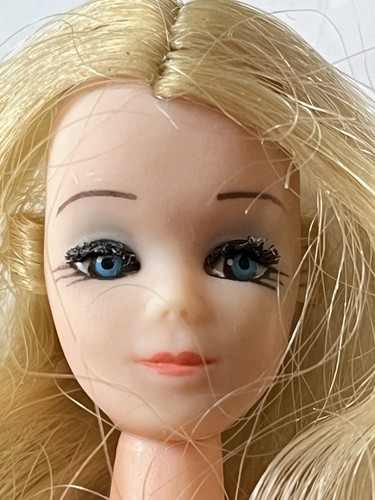 Pippa doll topper dawn dinah - doll,