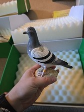 John Beswick Racing Pigeon JBB9 Bnwb