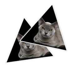 2x Triangle Shape Vinyl