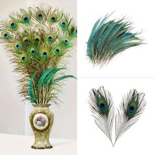 20pcs Peacock Tail Feathers