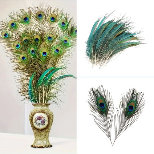 20pcs peacock tail feathers - peacock,