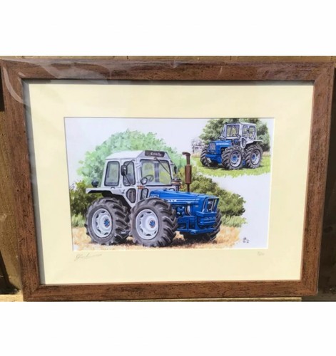 Framed picture prints - framed,