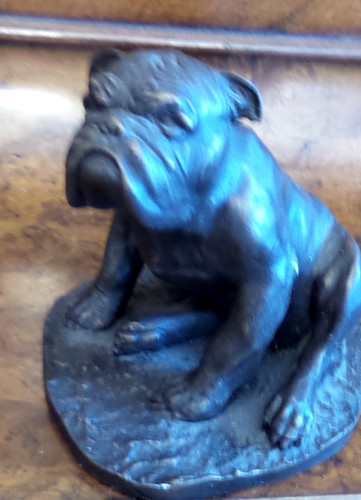 Vintage cast bronze bull dog - bronze,