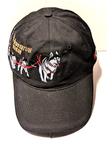 Huskie dog sled race - sled,
