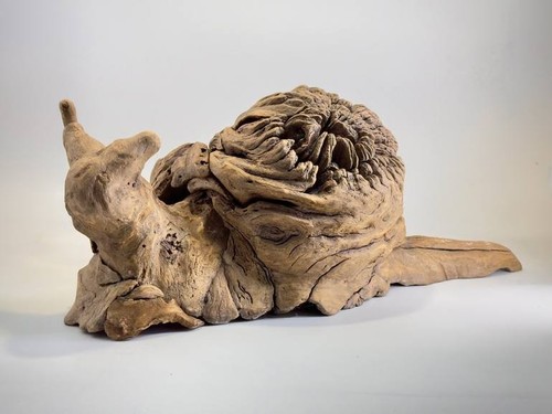 Bojoart original driftwood - bojoart,