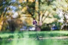 "Petzval" Isco KIPTAR 95/2