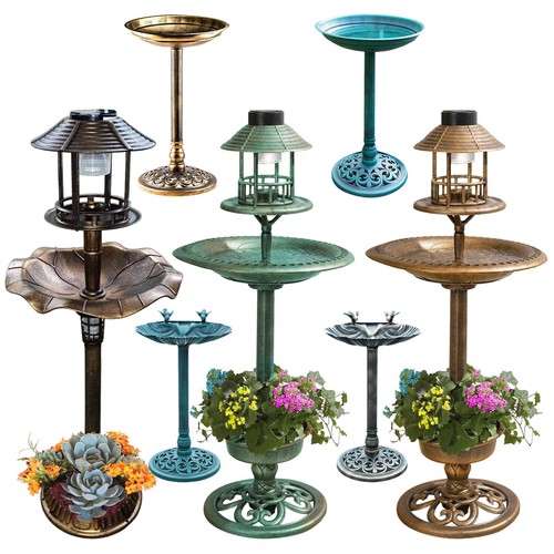 Bird bath feeder bowl with - bird,