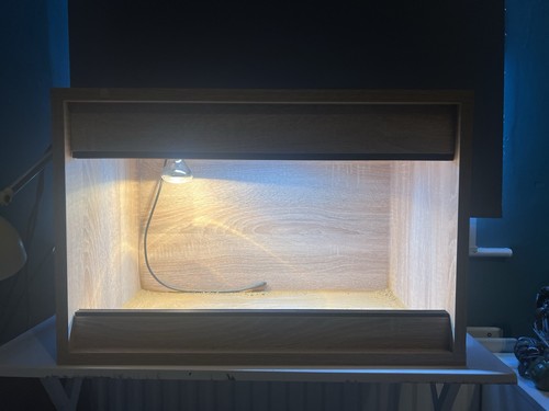 Small reptile vivarium tank - reptile,