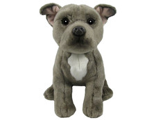 Staffordshire Bull Terrier