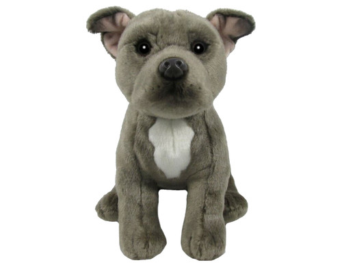 Staffordshire bull terrier - staffordshire,