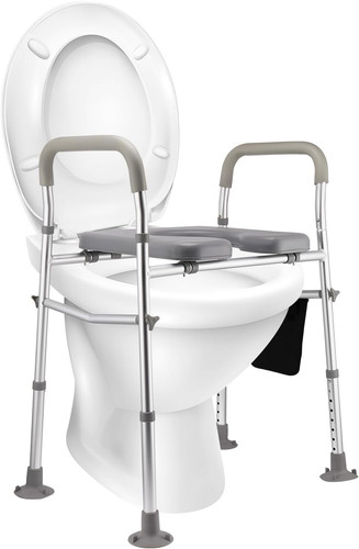 Raised toilet seat - toilet,