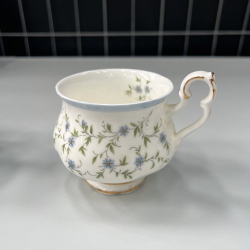Royal albert caroline england - royal,