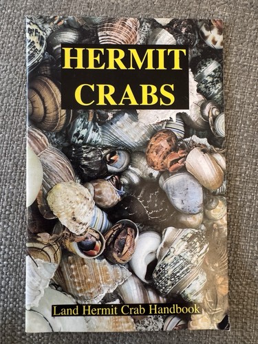 Hermit crabs land - hermit, crab
