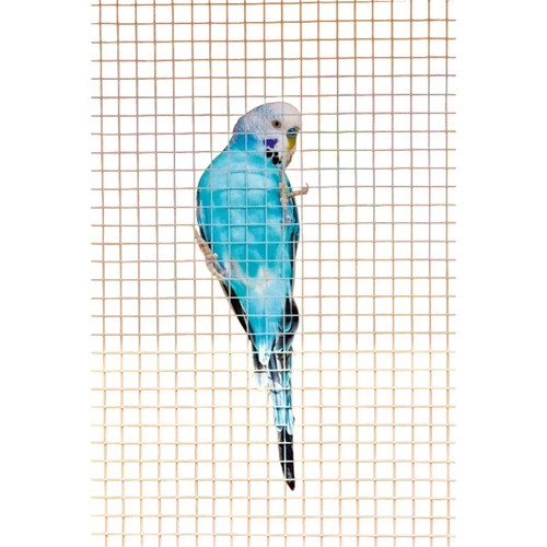 Ambassador cage aviary - cage, &
