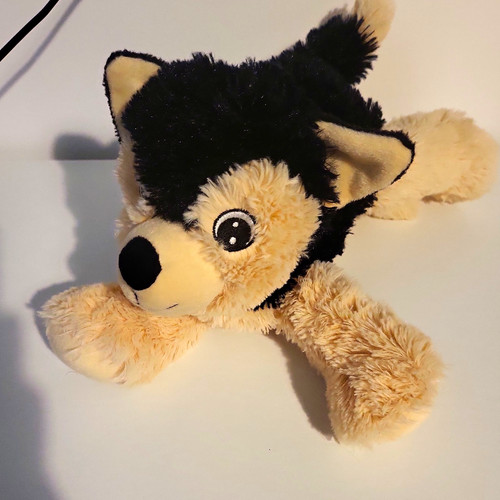 Husky plush soft - husky, toy