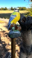 blue tit hand carved & painted country walking stick alder/hazel
