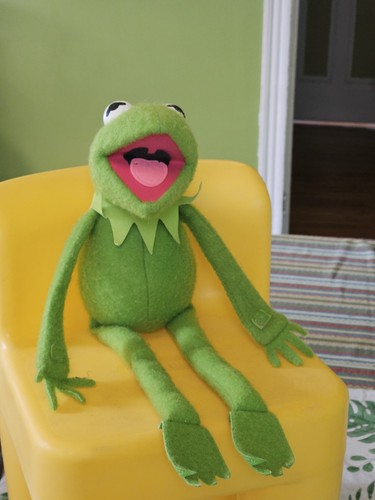 Vintage 1976 kermit the frog - vintage,