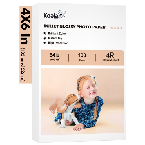 Koala premium glossy photo - koala,