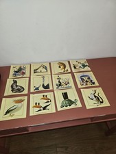 Guinness Postcard Set of 12