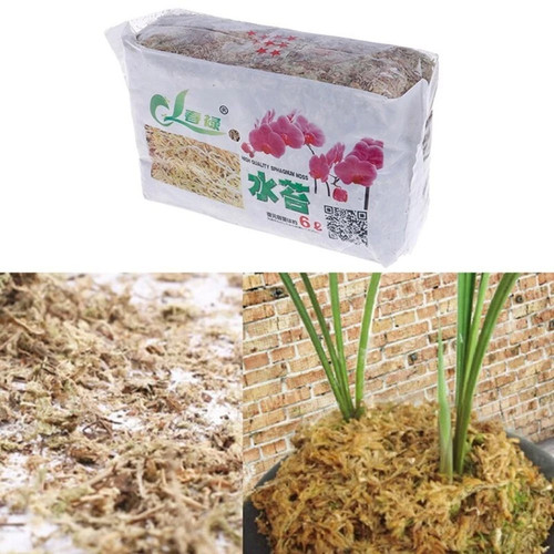 12l dried sphagnum moss - 6/12l,
