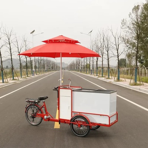 500w electric tricycle - 500w,