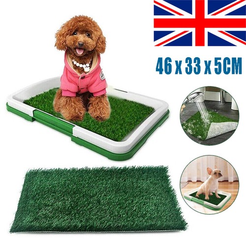 Large pet dog toilet mat - dog,