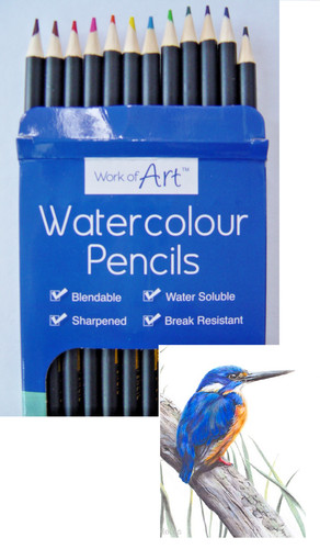 Watercolour pencils artist - 12,