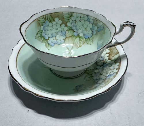 Vintage paragon blue hydrangea - vintage,