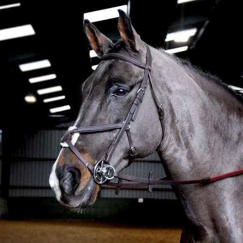 John whitaker ready ride - ready, to