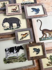 Animal Reverse Glass Paintings