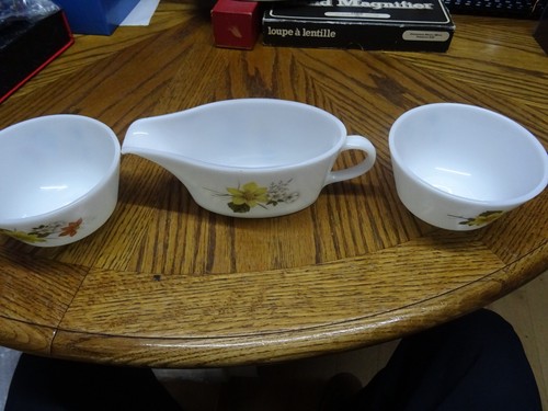 Vintage pyrex jaj autumn - autumn, glory