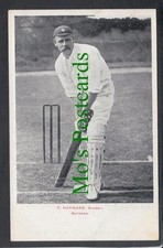 Sports Postcard - Cricket -