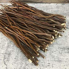 10Pcs Wooden Stick Branch