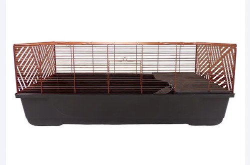 The kensington classic rat - the,
