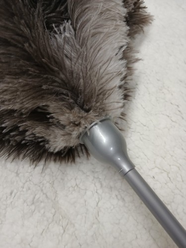 70cm genuine ostrich - genuine,