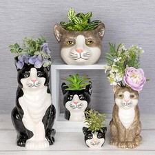 Shudehill Giftware Moggy Pots