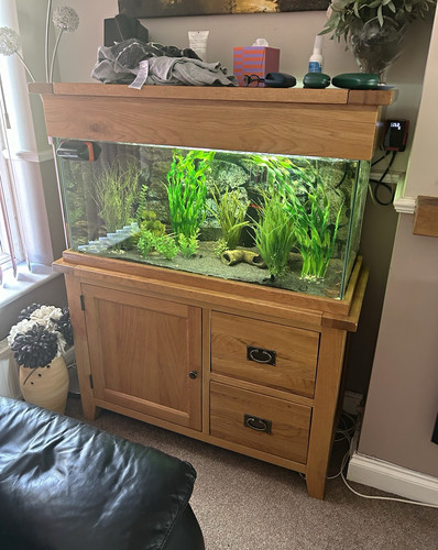 Aquaoak 105cm 200l freshwater - 105cm,
